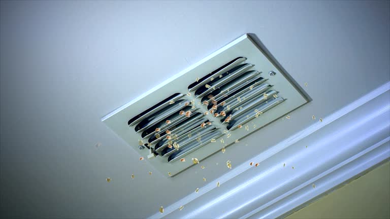Best Air Vent Cleaning Services  in Savannah, GA