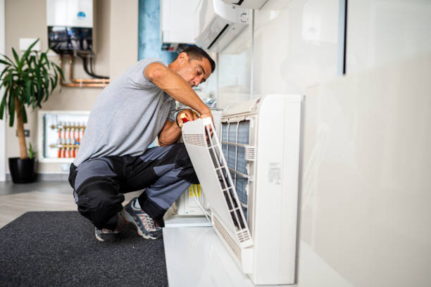 Best Air Duct Sanitizing Services  in Savannah, GA